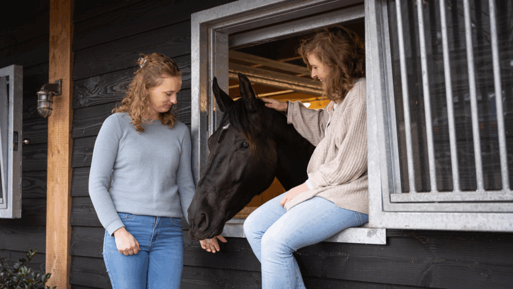 emailmarketing stille kracht clickhorse marketing