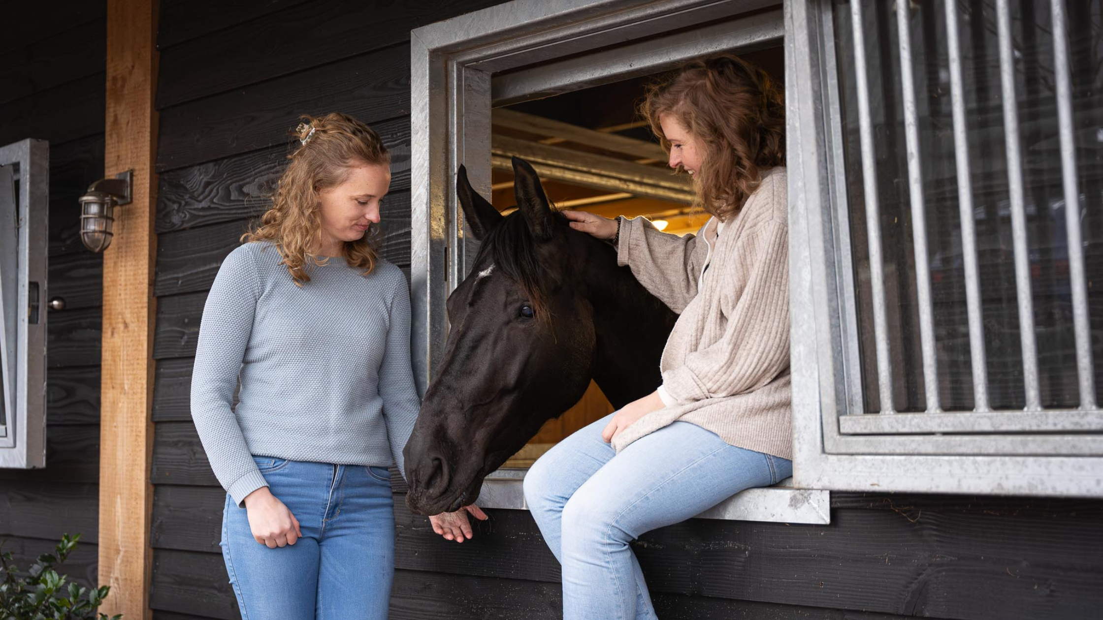 emailmarketing stille kracht clickhorse marketing