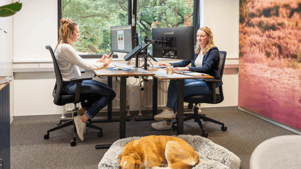 SEO naar GEO Content Clickhorse Marketing