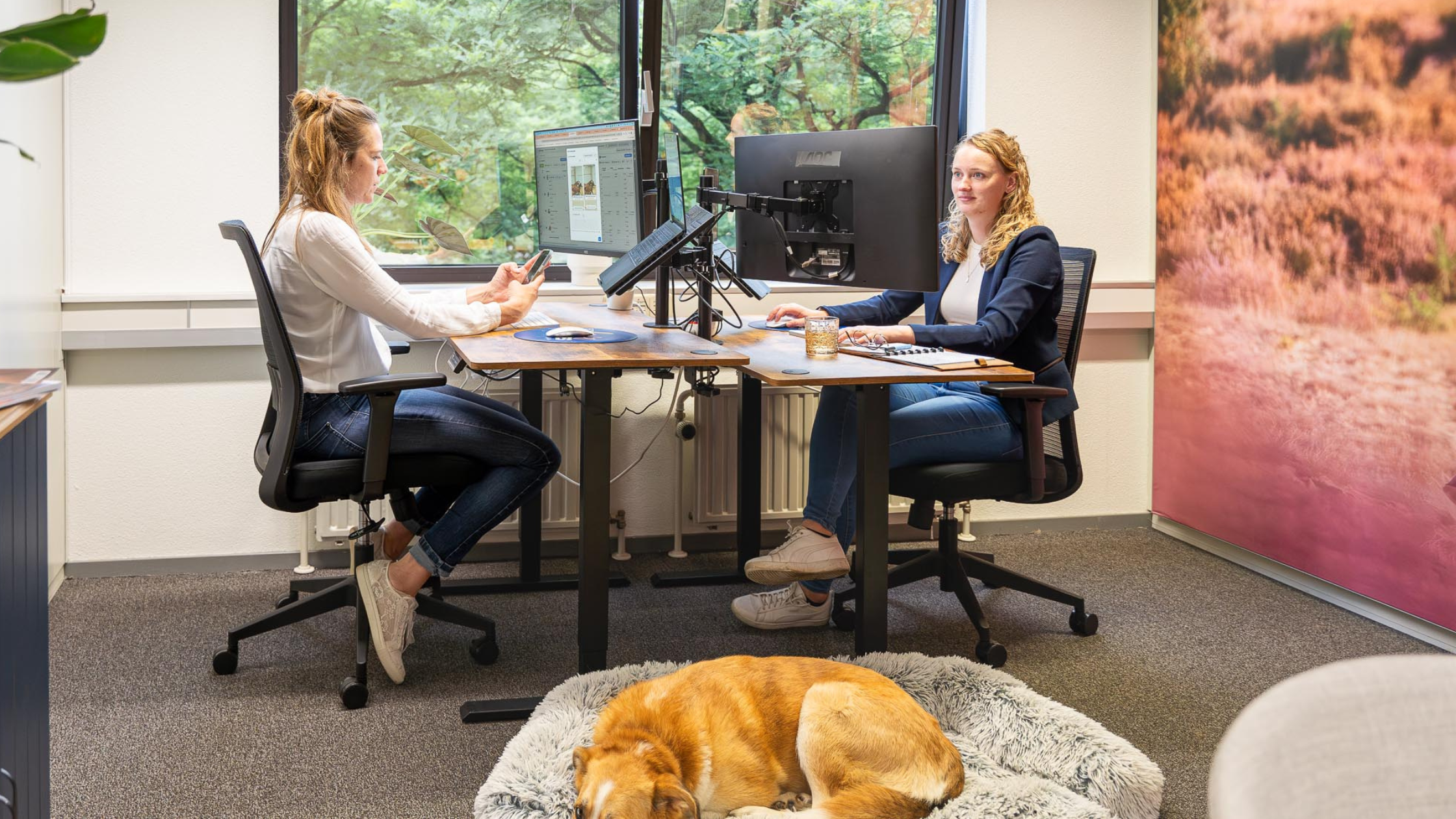 SEO naar GEO Content Clickhorse Marketing