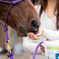 Supplementenmerk - horse & dog - e-commerce